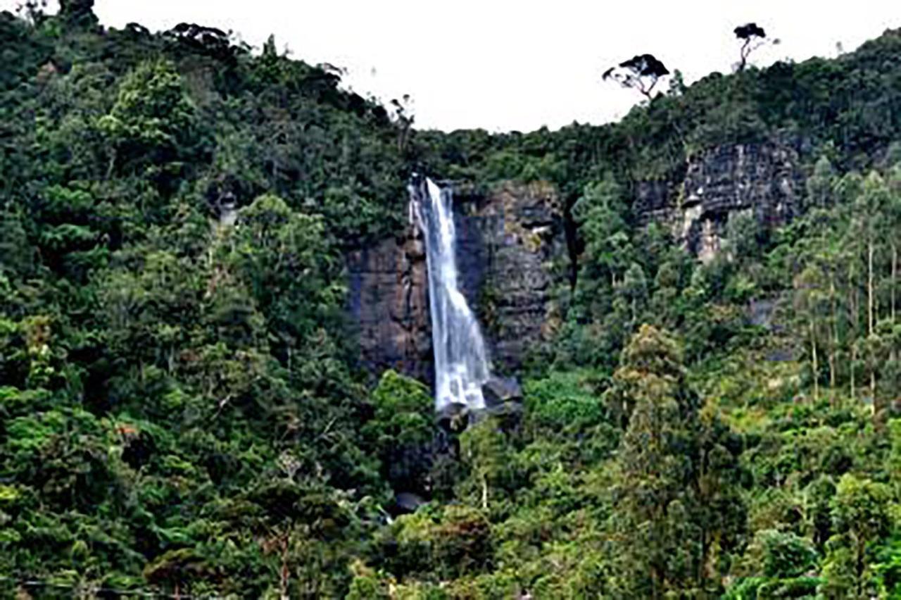 Dream Hill Homestay Nuwara Eliya Eksteriør bilde