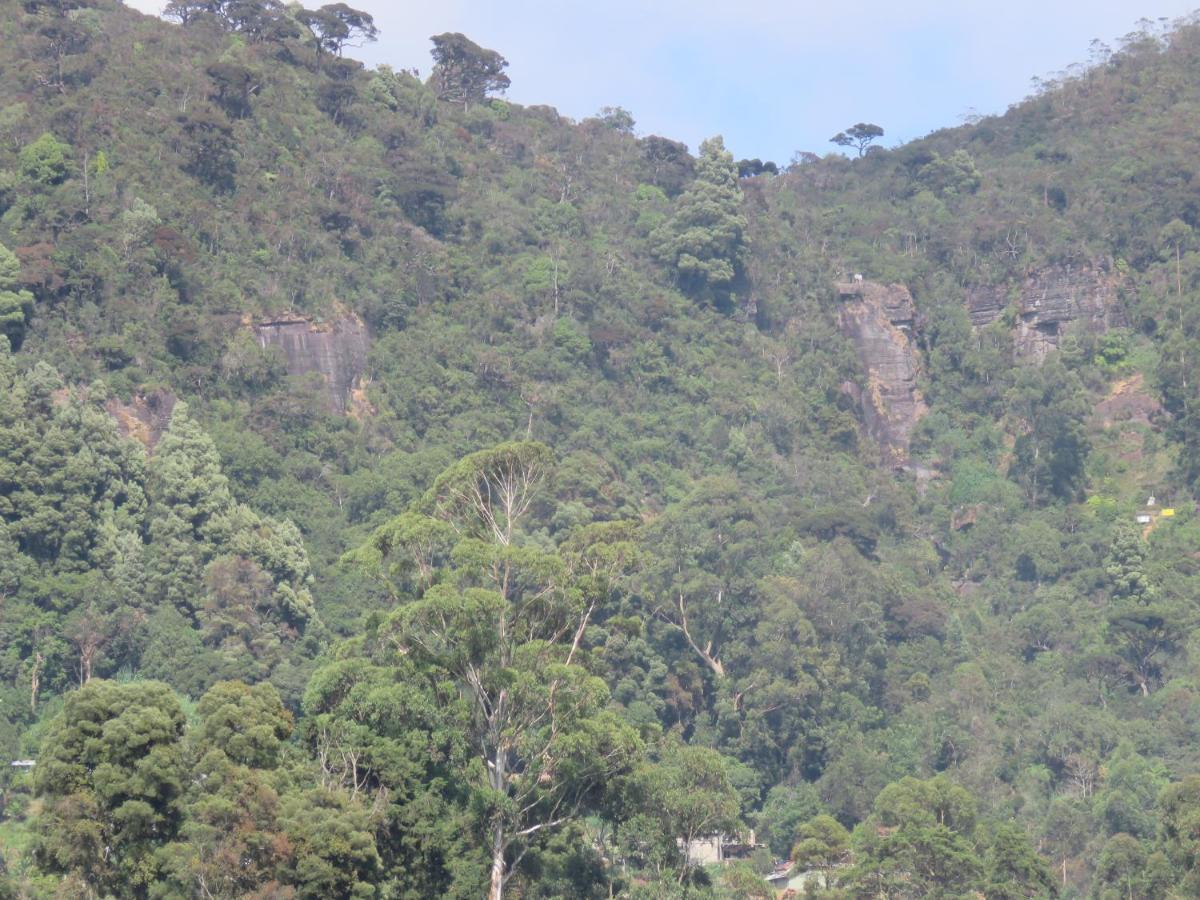 Dream Hill Homestay Nuwara Eliya Eksteriør bilde