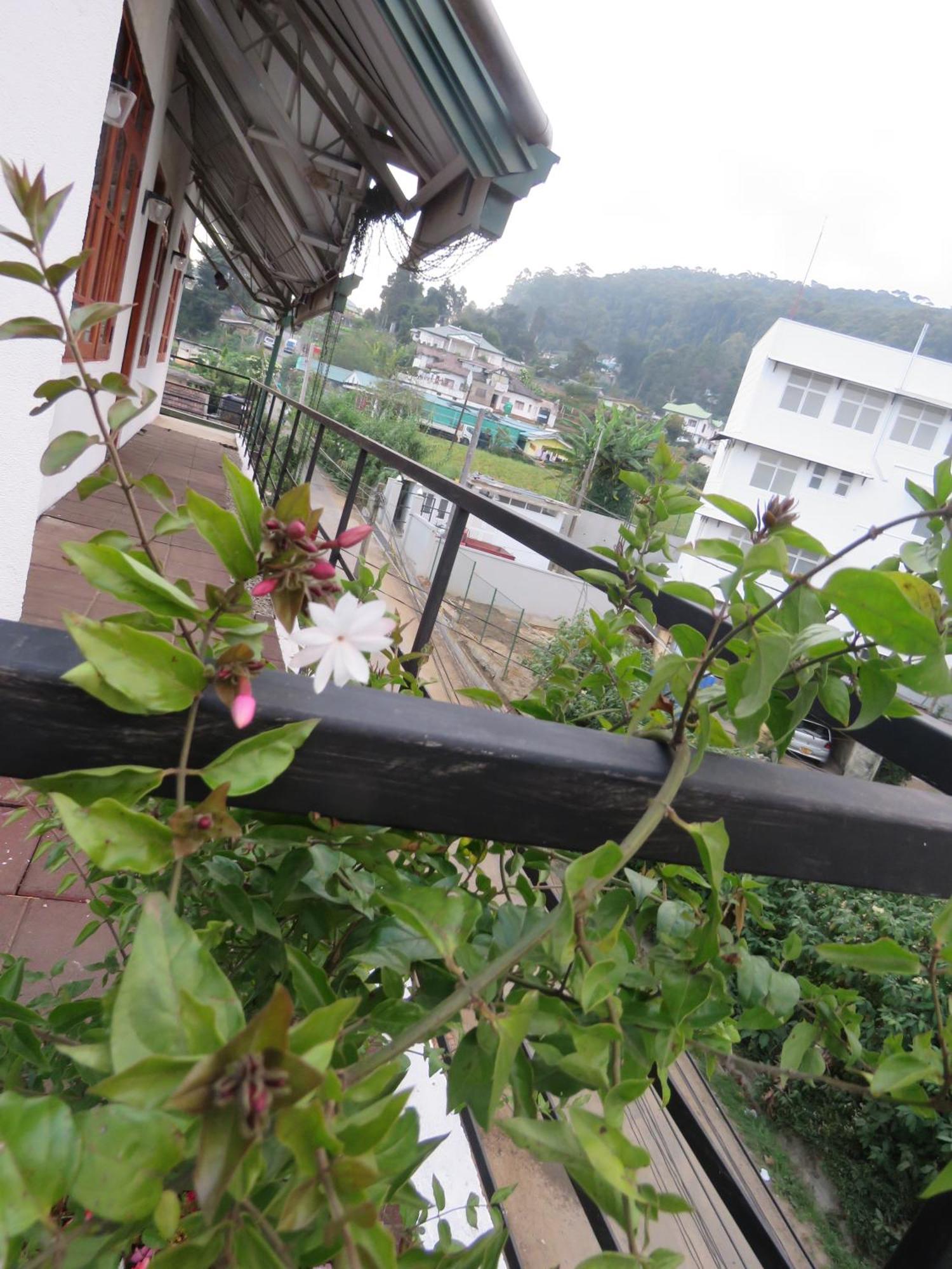 Dream Hill Homestay Nuwara Eliya Eksteriør bilde